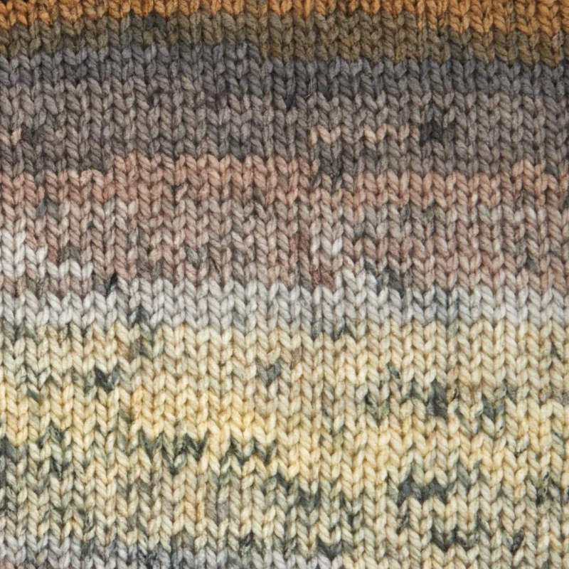 Premier Colorfusion Chunky 1174-14 Morning Coffee Acrylic